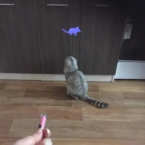 Katten Laser Speeltje Met Multipatronen Blije Beestjes
