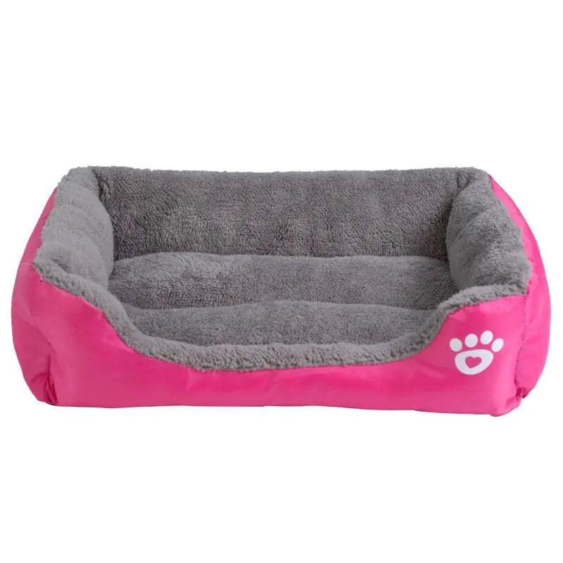 Zachte Honden Mand Blije Beestjes