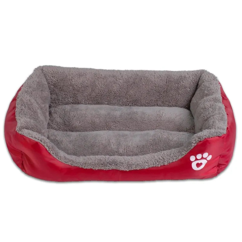 Zachte Honden Mand Blije Beestjes
