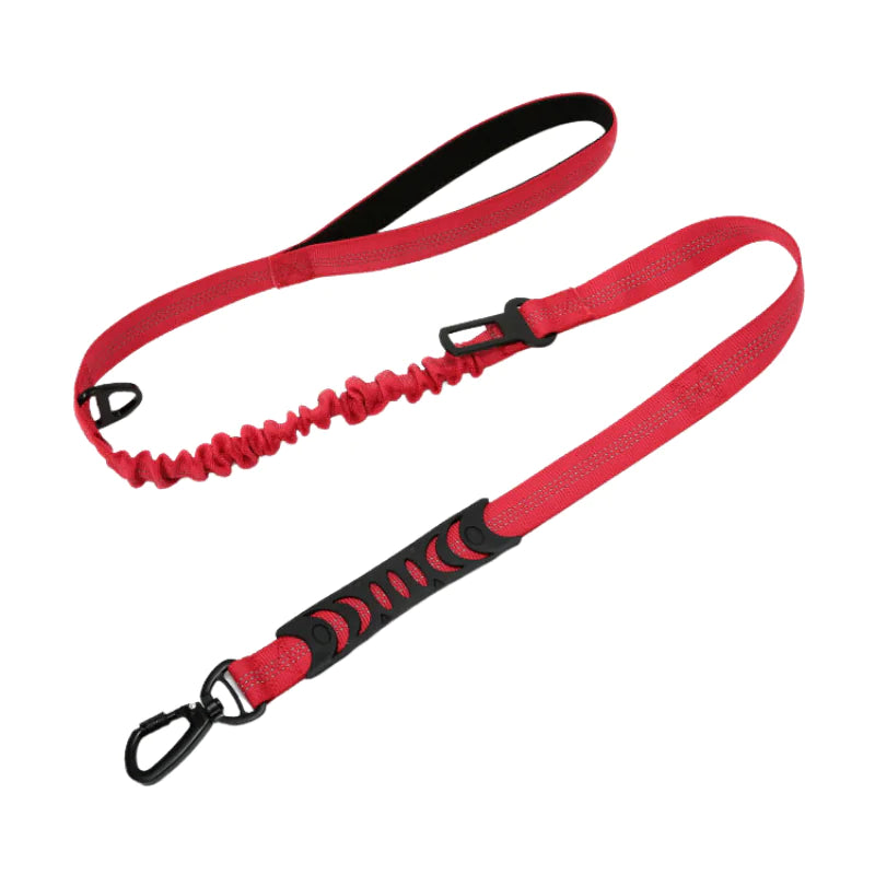 Reflecterende Honden Riem Blije Beestjes