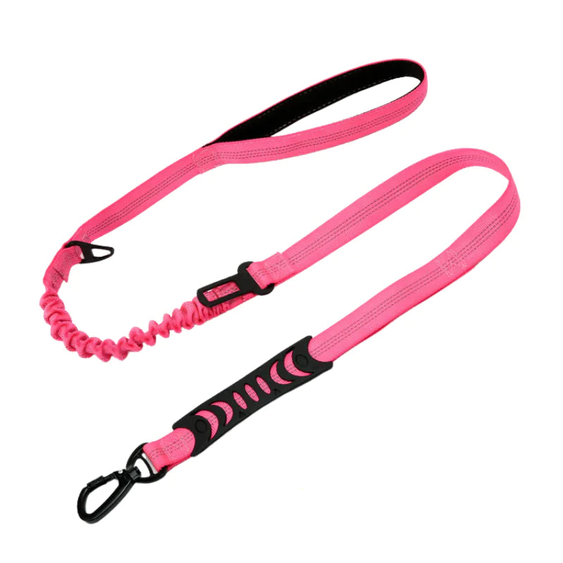 Reflecterende Honden Riem Blije Beestjes