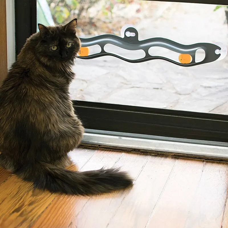 Interactieve Speelgoedbal voor Katten Blije Beestjes