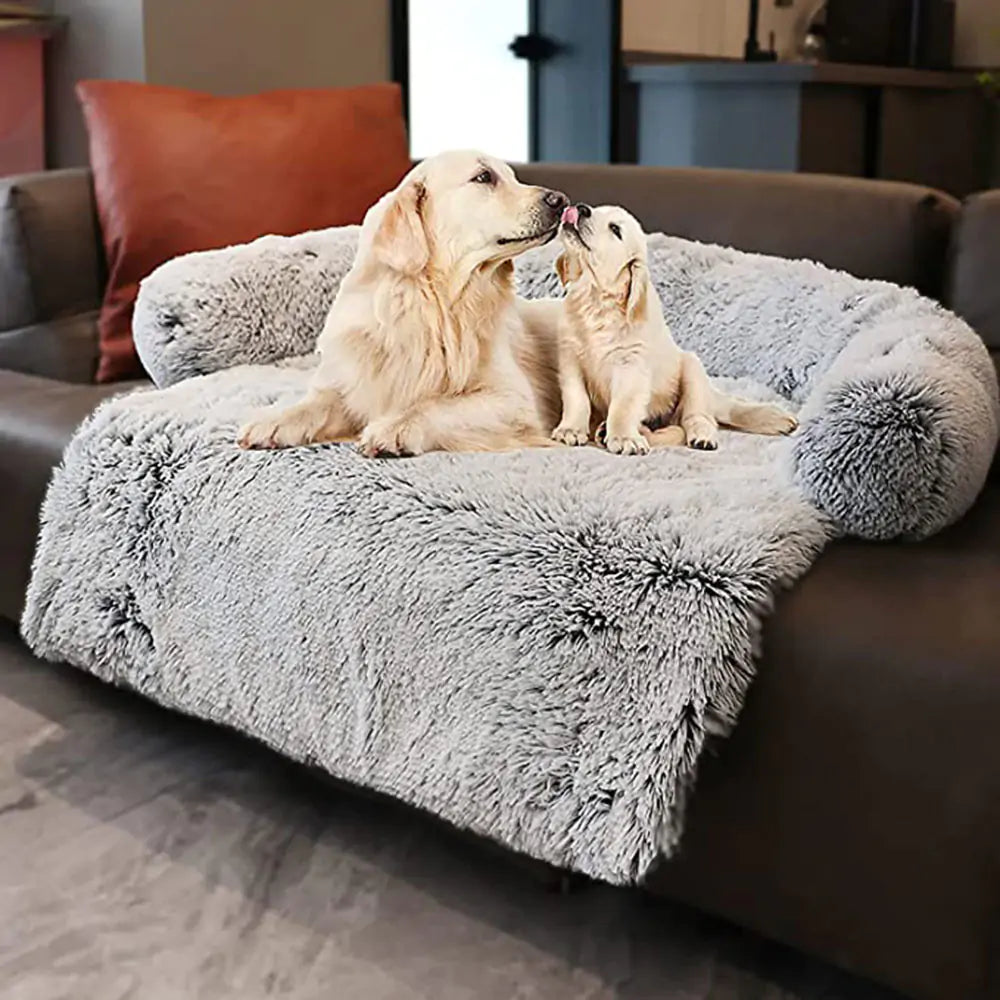 Honden Bankkussen Blije Beestjes