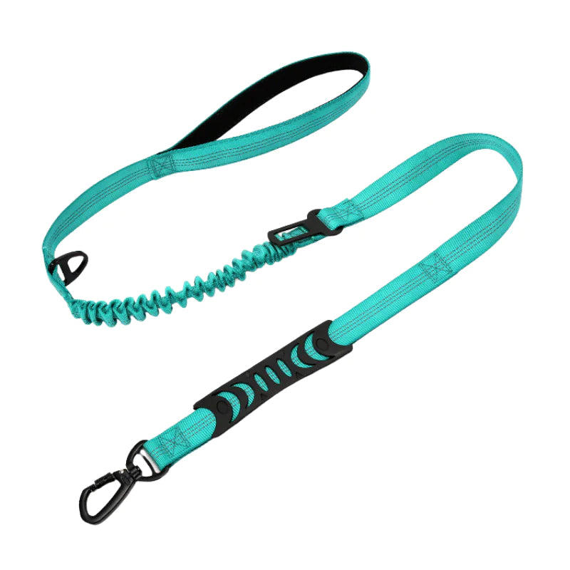 Reflecterende Honden Riem Blije Beestjes