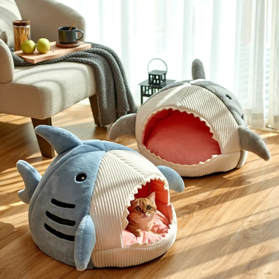 Haaien Huisdieren Mand Blije Beestjes