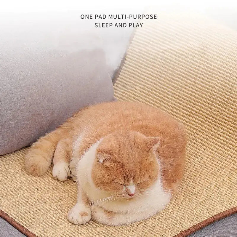 Meubel Beschermer Krab Mat voor Katten Blije Beestjes