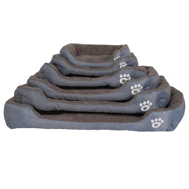 Zachte Honden Mand Blije Beestjes