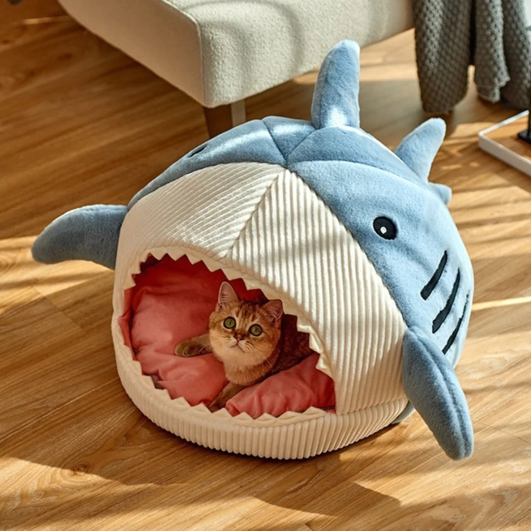 Haaien Huisdieren Mand Blije Beestjes