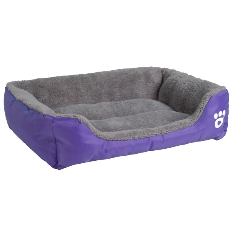 Zachte Honden Mand Blije Beestjes