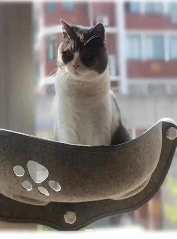 Raam Hangmat Voor Katten Blije Beestjes