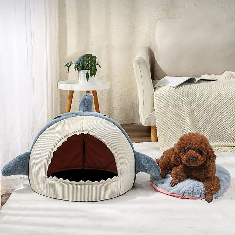 Haaien Huisdieren Mand Blije Beestjes