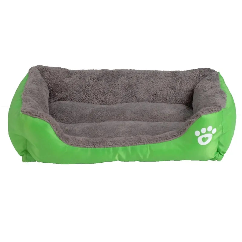 Zachte Honden Mand Blije Beestjes