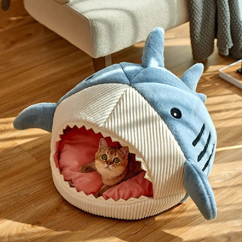 Haaien Huisdieren Mand Blije Beestjes
