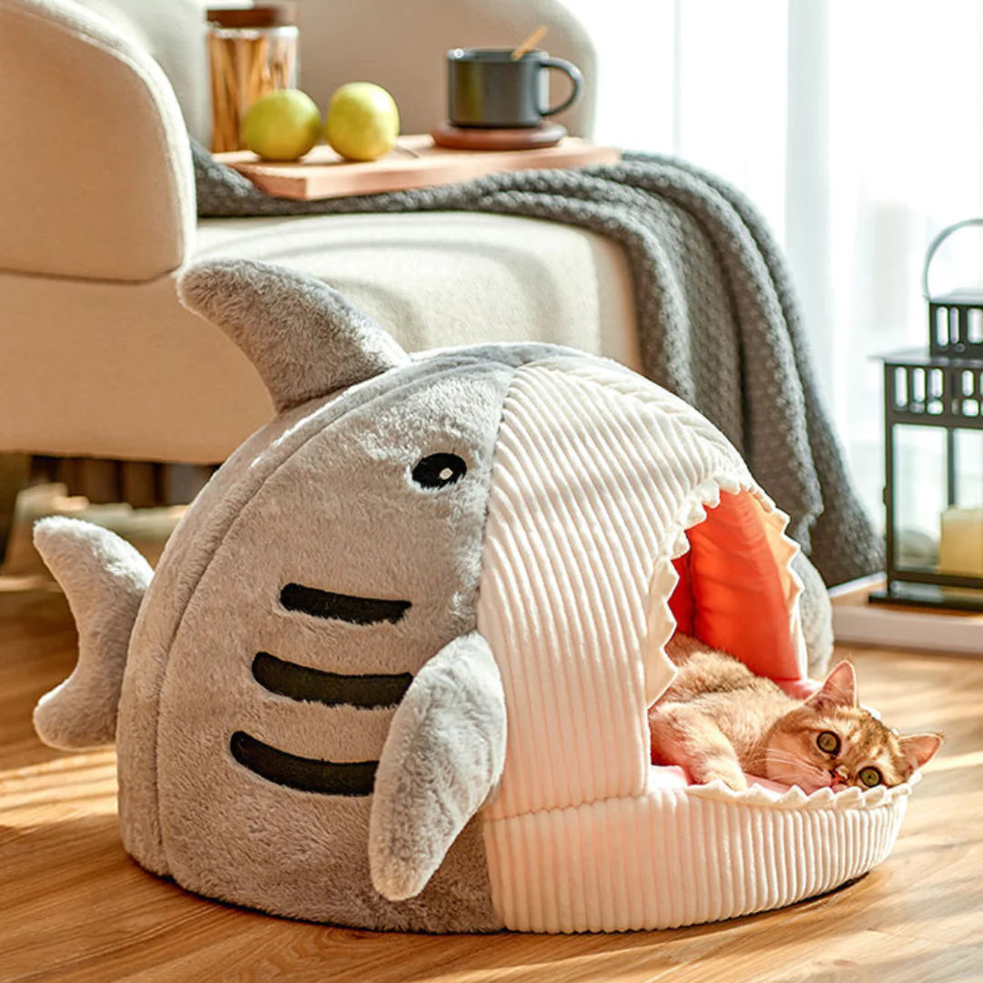 Haaien Huisdieren Mand Blije Beestjes