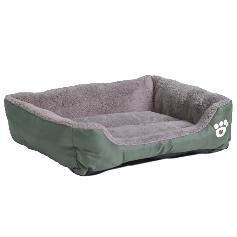 Zachte Honden Mand Blije Beestjes