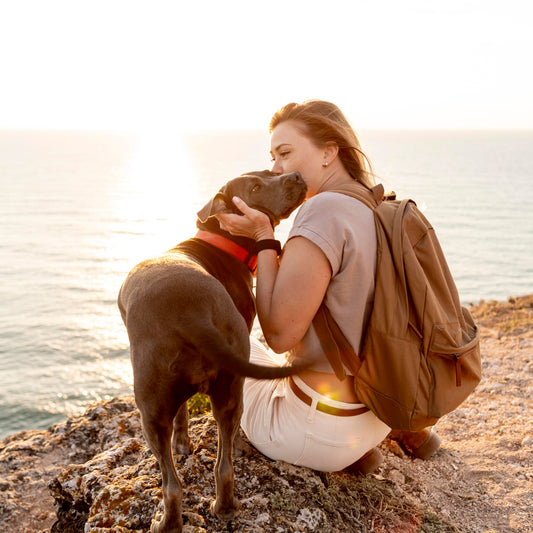 De-Leukste-Vakantiebestemmingen-in-Nederland-voor-Jou-en-Je-Hond Blije Beestjes