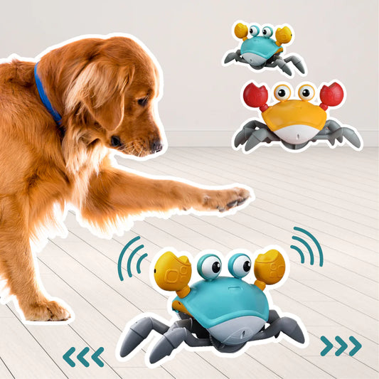 Bewegende Krab Huisdieren Speeltje Blije Beestjes