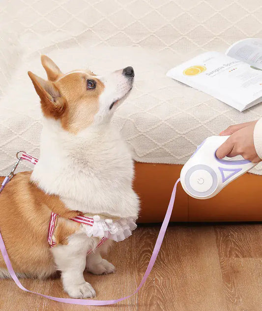 Led Licht Honden Riem Blije Beestjes