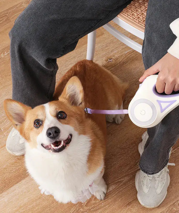 Led Licht Honden Riem Blije Beestjes