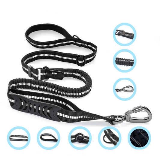 Reflecterende Honden Riem Blije Beestjes