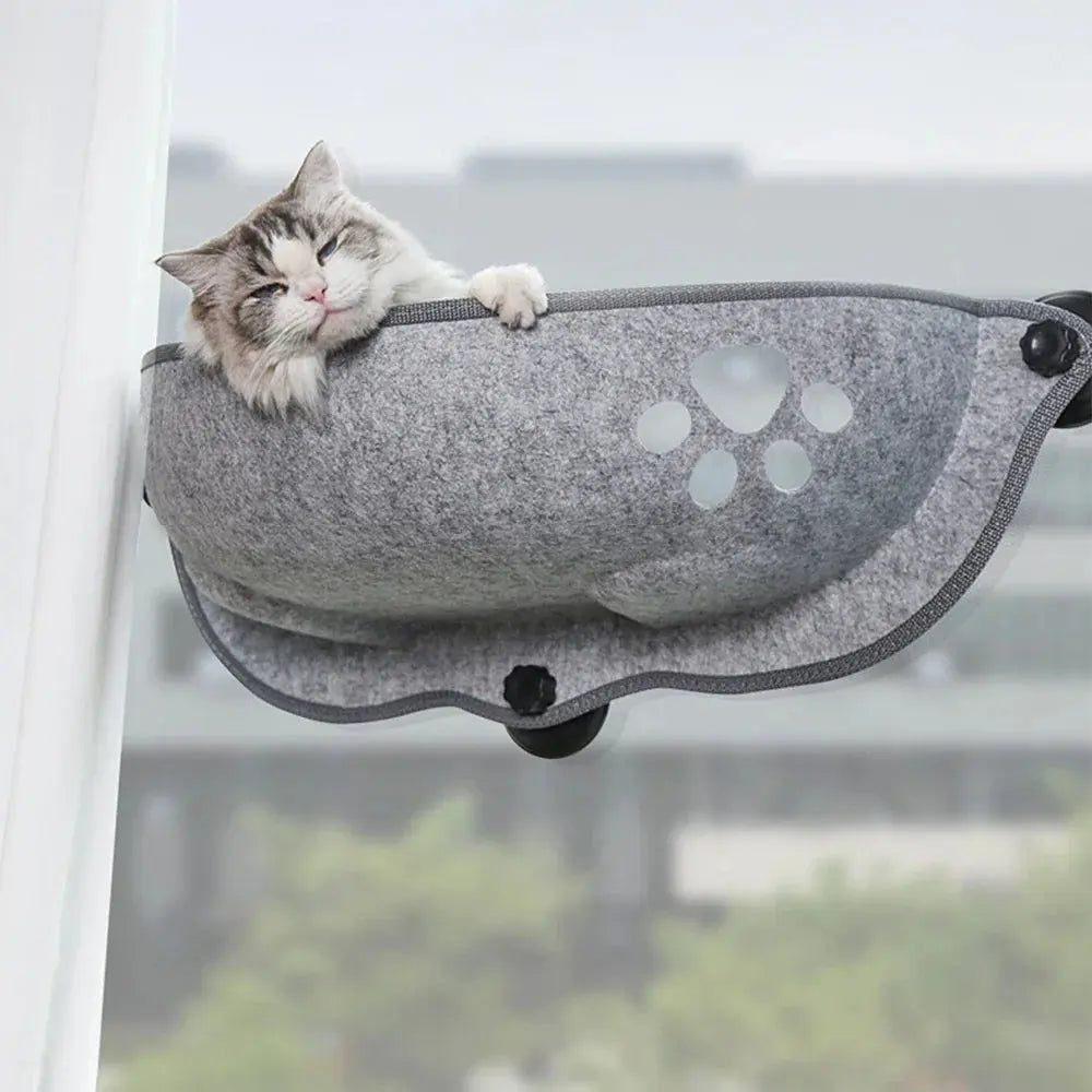 Raam Hangmat Voor Katten Blije Beestjes