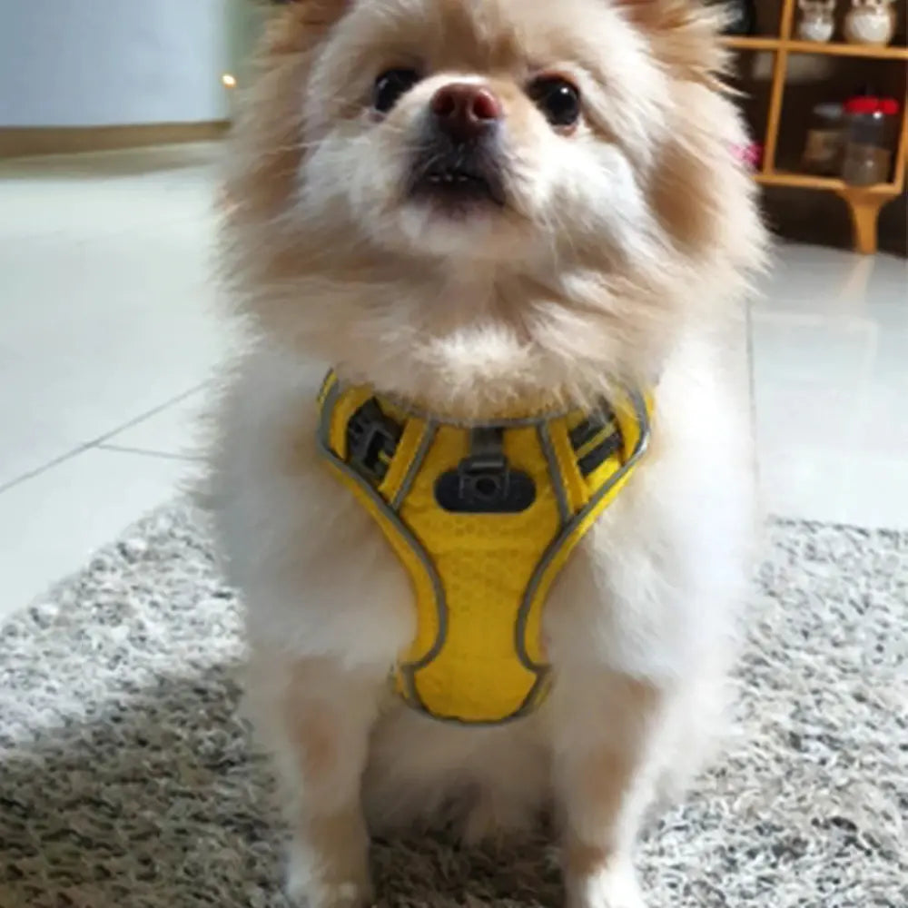 Reflecterend Ademend Honden Tuigje Blije Beestjes