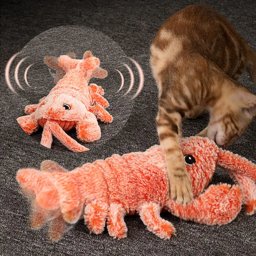 Springende Garnalen Katten Speeltje Blije Beestjes