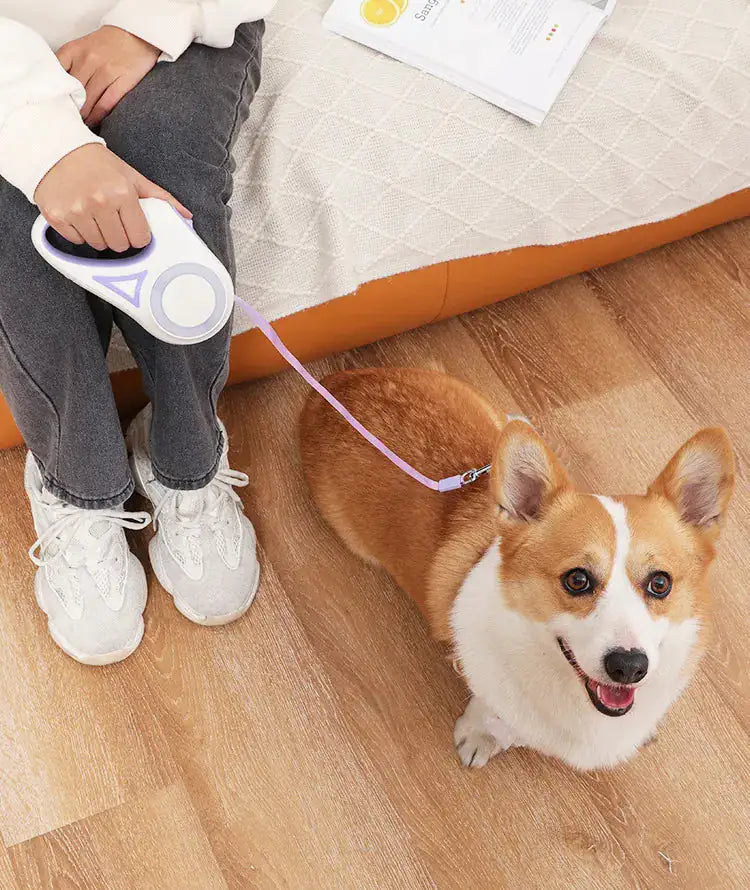Led Licht Honden Riem Blije Beestjes